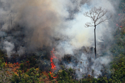 TOPSHOT - Aerial picture showing a fire raging in the Amazon rainforest about 65 km from Porto Velho, in the state of Rondonia, in northern Brazil, on August 23, 2019. - Bolsonaro said Friday he is considering deploying the army to help combat fires raging in the Amazon rainforest, after news about the fires have sparked protests around the world. The latest official figures show 76,720 forest fires were recorded in Brazil so far this year -- the highest number for any year since 2013. More than half are in the Amazon. (Photo by Carl DE SOUZA / AFP)        (Photo credit should read CARL DE SOUZA/AFP/Getty Images)