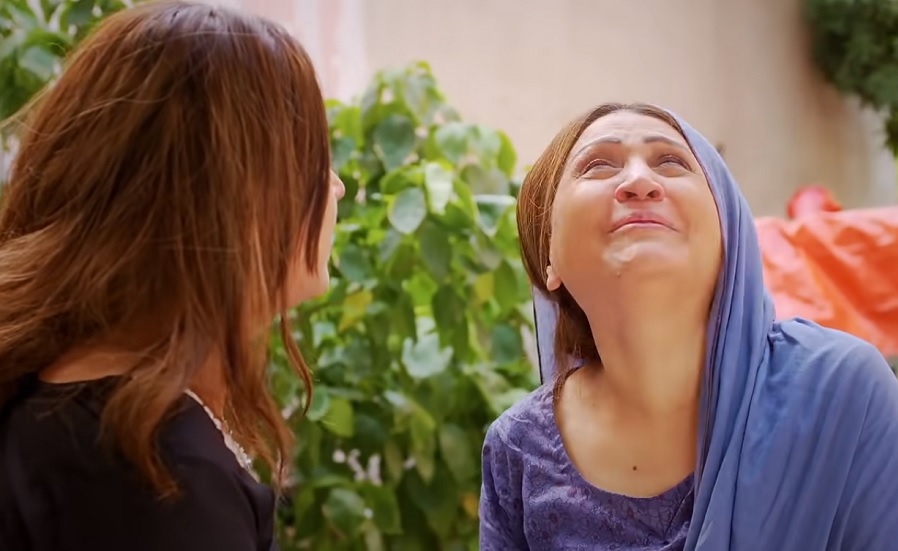 Zebaish hum tv asma abbas