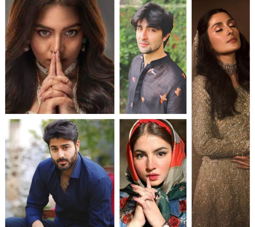 Pakistani overrated actors